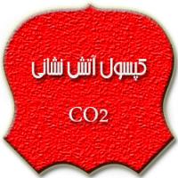 کپسول آتش نشانی CO2