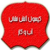 كپسول آتش نشانی آب و گاز (3% فوم)