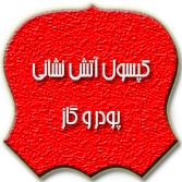 کپسول آتش نشانی پودر و گاز