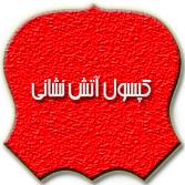 کپسول آتش نشانی