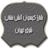 شارژ کپسول آتش نشانی شرق تهران