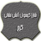شارژ کپسول آتش نشانی در کرج