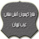 شارژ کپسول آتش نشانی غرب تهران